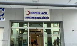 Akrabalarının nişanına giden 4 yaşındaki Enes, kamyonet kasasından düşerek öldü