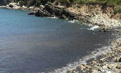 Amasra'da denizde kirlilik