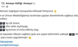 Amasya’da sağlıksız gıda denetimleri; 10 milyon TL ceza