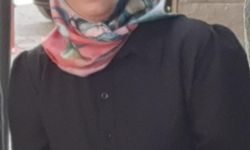 Annesini ziyarete giderken kazada öldü