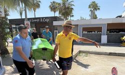 Antalya- Alman turist güneşlenirken hayatını kaybetti /Video eklendi