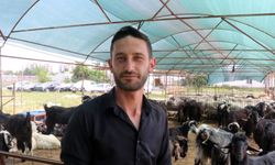 Antalya'da kurban pazarlarında hareketlilik