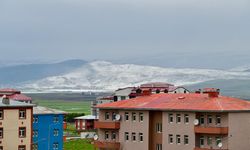 Ardahan’ın yüksek kesimleri, dolu yağışıyla beyaza büründü