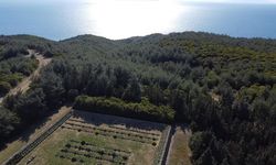 Atatürk'e Çanakkale'de sunulan rapor: Siperler içerisinde ölmediğime teessüf ediyorum kumandanım