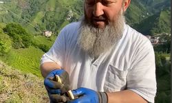 Bahçede yakaladığı yılanı boynuna doladı