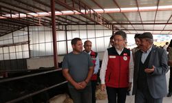 Bakan Yumaklı: Üreticilerimize hayvan başına yıllık 18 bin lira destek vereceğiz