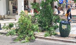 Bodrum'da fırtına; 10 tekne karaya oturdu