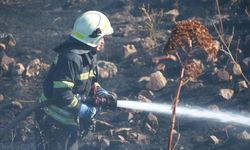 Bodrum’da ot yangını 2 saatte söndürüldü