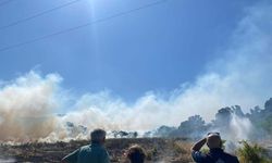 Bodrum'da ot yangınında 5 dönüm alan zarar gördü