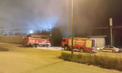 Bursa'da orman ürünleri fabrikasındaki yangın söndürüldü
