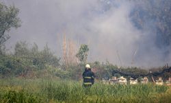 Çalılıkta çıkan yangına 1,5 saatlik müdahale/Ek fotoğraflar