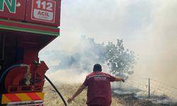 Çanakkale'deki orman yangını 2 saatte söndürüldü