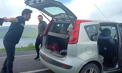 Çıldır Gölü çevresinde 'yeşil sinek' istilası