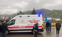 Cipin çarptığı hafif ticari aracın sürücüsü öldü