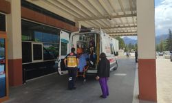 Çoban, omzundan düşen av tüfeği ateş alınca sırtından yaralandı