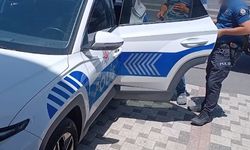 Çocuğuna araç kullandıran babaya 21 bin TL ceza