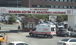 Dağlık bölgede ölü bulundu