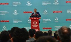 Destici: Silah bırakma işi sadece PKK'yla sınırlı kalmamalı