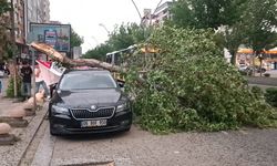Diyarbakır ve Batman’da fırtına; çatı ve ağaçlar, araçların üzerine devrildi