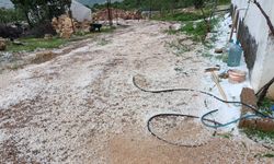 Diyarbakır’da dolu etkili oldu, bağ ve bahçeler zarar gördü