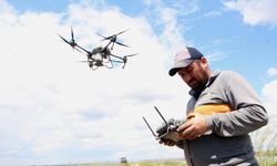 Dronla çeltik ekiyorlar