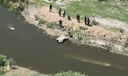 Dronla tespit edilen 1220 kök kenevir imha edildi