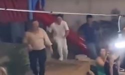 Düğündeki kalabalığın arasına giren domuz kamerada