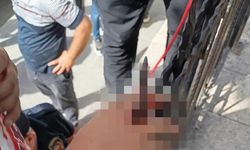 Dut yemek isterken eli korkuluk demirine saplandı
