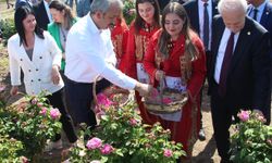 Edirne gülü, törenle hasat edildi