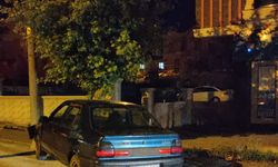Edirne'de, ağaca çarpan otomobilin alkollü sürücüsü yaralandı