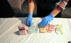 Edirne'de 'fuhuş' operasyonunda 7 gözaltı; 11 kadın kurtarıldı