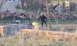 Eşeğe sopalı eziyet kamerada