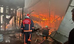 Fındık fabrikasındaki yangın, 2,5 saatte kontrol altına alındı