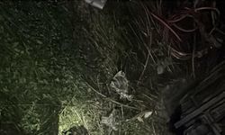 Freni boşalan kamyonet, otomobillere çarpıp Eşen Çayı’na uçtu; 2 yaralı