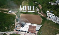 Gebze’de boya fabrikasında yangın (2)