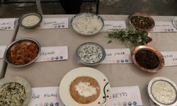 Hakkari'de ot festivali; lezzetler yarıştı