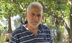 Hatay - Deprem, gönüllülerin deniz kaplumbağalarını izleme ve koruma çalışmalarını da vurdu /Video eklendi