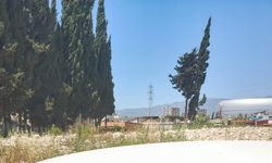 İş insanının park halindeki otomobiline defalarca ateş ettiler