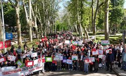 İstanbul - İstanbul Valisi Davut Gül Gülhane Parkı'ndaki 'Aile Yılı Yürüyüşü' ne katıldı
