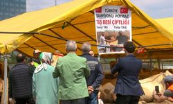 İstanbul - Şampiyon boğa 'Poyraz'ın sahibi:  Cumhurbaşkanı'na hediye edeceğim