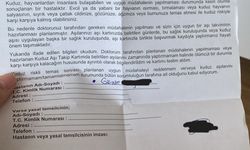 İstanbul - Üniversite kampüsünde köpeklerin saldırına uğradı: O anlar kamerada