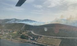 İzmir'de makilik yangını (2)