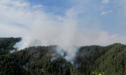 Kahramanmaraş’ta orman yangını