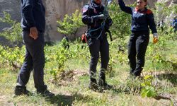 Kapadokya'da sıcak hava balonu, kayalıklara zorunlu iniş yaptı / Ek fotoğraflar
