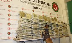 Kapıkule'de otobüsteki 234 kilo esrarı, narkotik köpeği Turbo buldu