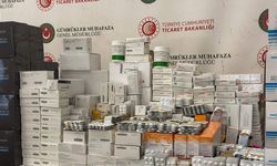 Kapıkule'deki TIR'da elektronik sigara ile ilaç ele geçirildi