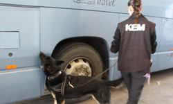 Kapukule'de otobüsteki 77 kilo uyuşturucu hapı Neptun buldu