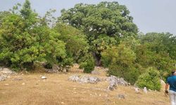 Kaş'taki mermer ocağı davasına bilirkişi keşfi