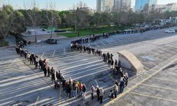 Kayseri'de domates fidesi dağıtımında kuyruk oluştu