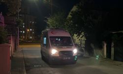 Kayseri'de sahipli köpek tarafından ısırılan çocuk yaralandı